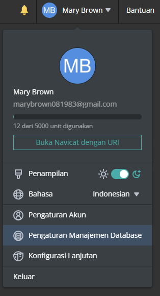 database_management_settings_menu_item (21K)